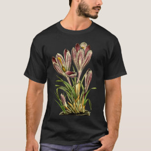 Vintage Crocus Flower Botanical Plants For Men And T-Shirt