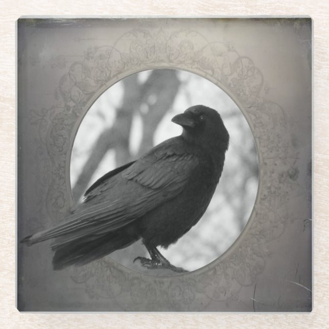 Vintage Crow Outside The Frame Glass Coaster (Front)