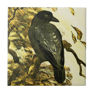 Vintage Crow Perched on a branch Theo van Hoytema Ceramic Tile