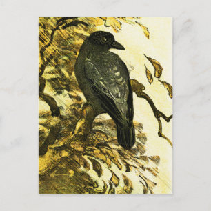 Vintage Crow Perched on a branch Theo van Hoytema Postcard