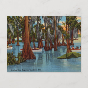 Vintage, Cruise Cyprus Gardens, Florida Postcard
