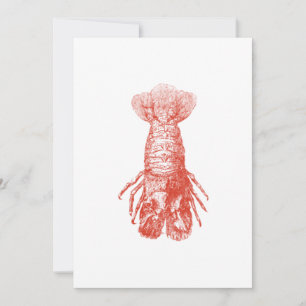 Vintage Crustacean Biological Illustration
