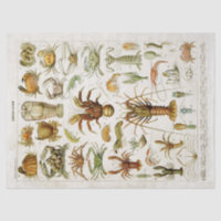 Vintage Crustaceans Marine Life Decoupage
