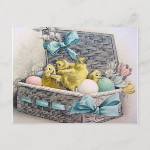 Vintage Cute Animal Easter  Postcard
