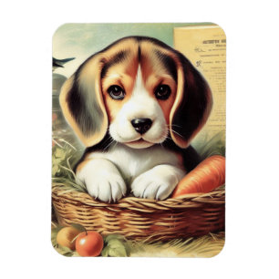 Vintage Cute Beagle Puppy Magnet