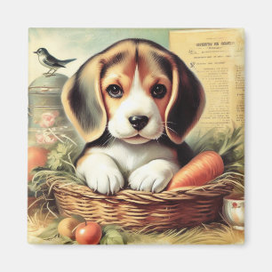 Vintage Cute Beagle Puppy Magnet