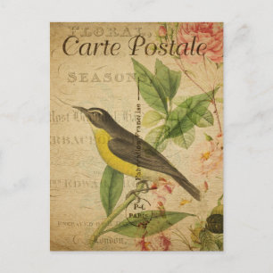 Vintage Cute Bird Pink Roses Floral French  Postcard