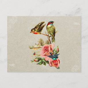 Vintage Cute Birds & Roses Landscape Painting Postcard