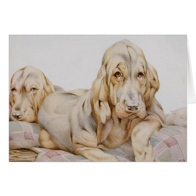 Vintage Cute Bloodhounds, Puppy Dogs by EJ Detmold (Front Horizontal)