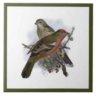 Vintage Cute Blue Colourful Bird and Foliage Ceramic Tile