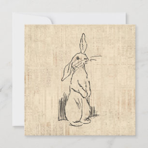 Vintage Cute Bunny Rabbit Art Script Background Card