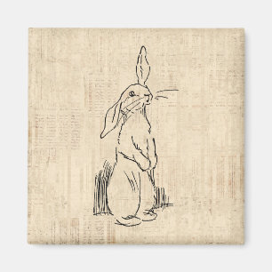 Vintage Cute Bunny Rabbit Art Script Background Magnet