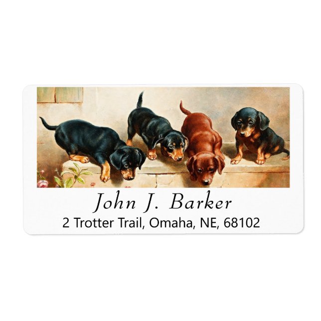 Vintage Cute Dachshund Puppies (Front)