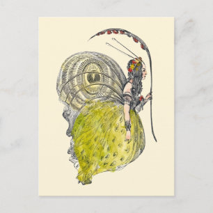 Vintage Cute Fantasy Butterfly Fairy with Wings Postcard