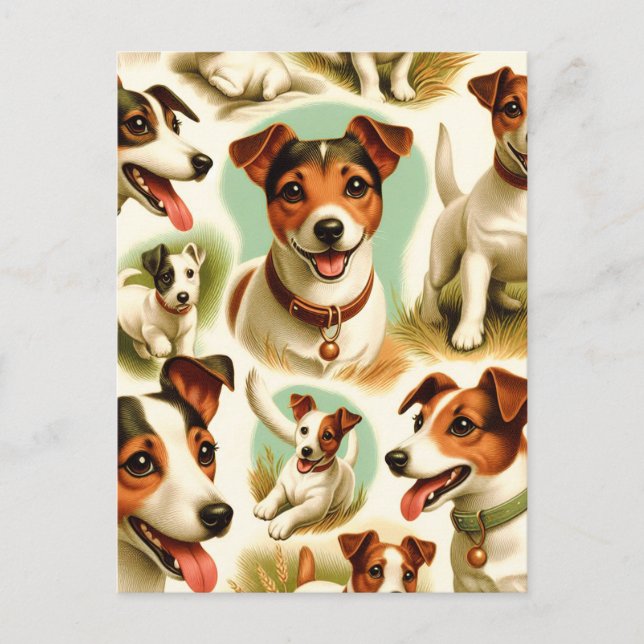 Vintage Cute Jack Russell Terrier Postcard (Front)