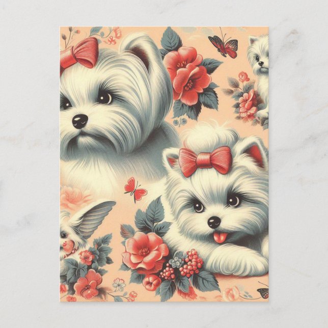 Vintage Cute Maltese Dog Postcard (Front)