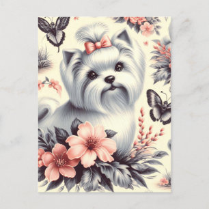 Vintage Cute Maltese Illustration Postcard