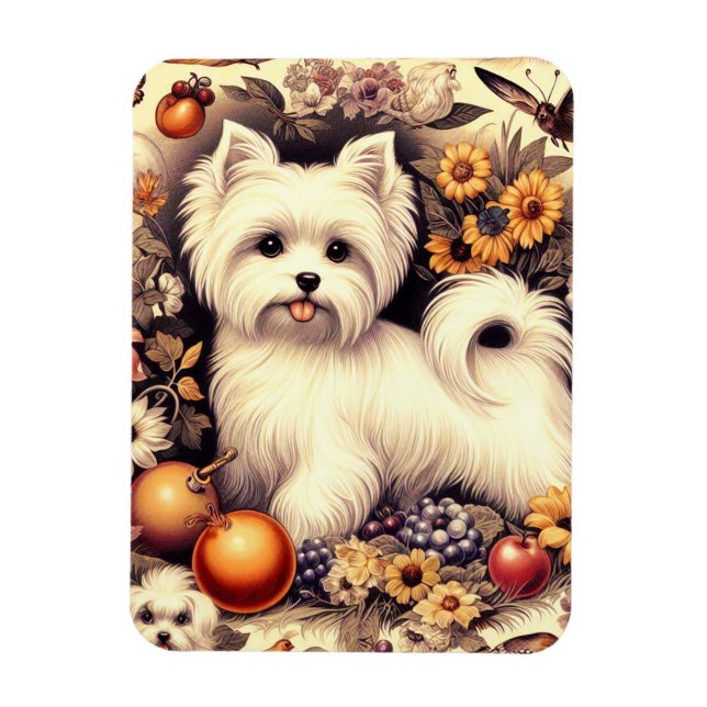 Vintage Cute Maltese Magnet (Vertical)