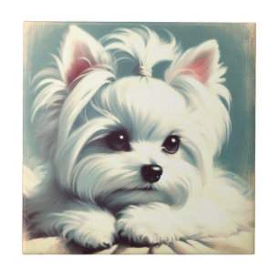 Vintage Cute Maltese Painting Ceramic Tile