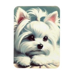 Vintage Cute Maltese Painting Magnet