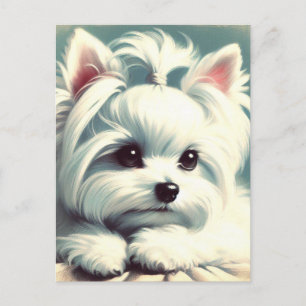 Vintage Cute Maltese Painting Postcard