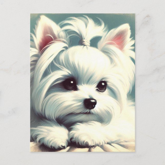 Vintage Cute Maltese Painting Postcard (Front)