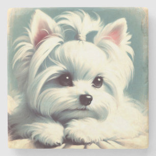 Vintage Cute Maltese Painting Stone Coaster