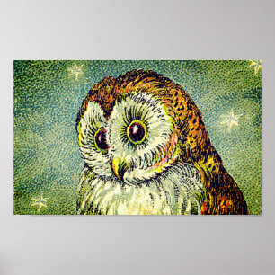 Vintage cute owl illustration poster