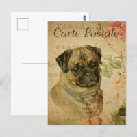 Vintage Cute Pug Dog