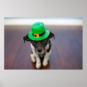 Vintage Cute Puppy Dog with Leprechaun Hat Poster