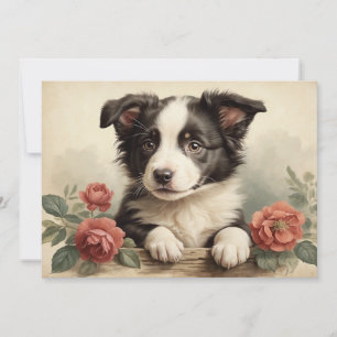 Vintage Cute Puppy Portrait Border Collie Rose Dog Holiday Card