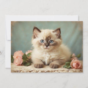 Vintage Cute Ragdoll Kitten Portrait Flowers Sweet Holiday Card