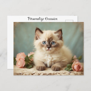 Vintage Cute Ragdoll Kitten Portrait Flowers Sweet Postcard