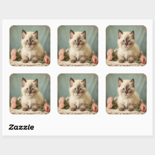 Vintage Cute Ragdoll Kitten Portrait Flowers Sweet Square Sticker