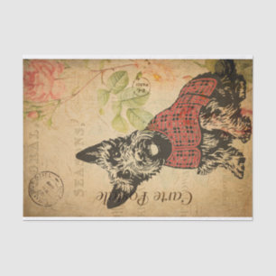 Vintage Cute Scottish Terrier Dog Floral French Tissue Paper