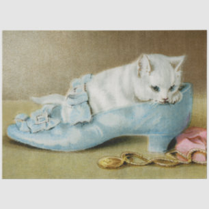 Vintage cute white kitten in a blue satin shoe tissue paper