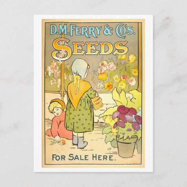 Vintage D. M. Ferry & Co. Seeds Advertisement Postcard (Front)
