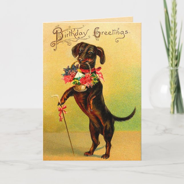 Vintage Dachshund Birthday Card (Front)