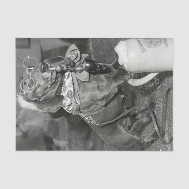 Vintage Dachshund Dog with Pipe & Beer Tissue Paper (Front)