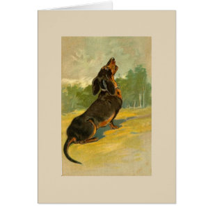 Vintage - Dachshund Howling,