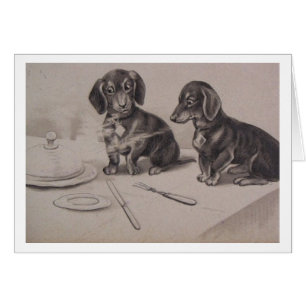 Vintage - Dachshunds Sniff Out a Meal,