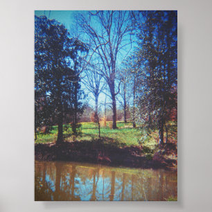 Vintage Daffodil Lake Photography Poster