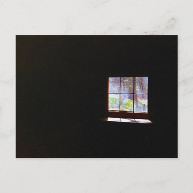 Vintage Daffodil Window Postcard (Front)