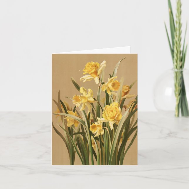 Vintage Daffodils Note Card (Front)