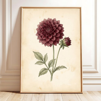 Vintage Dahlia Flower Wall Art