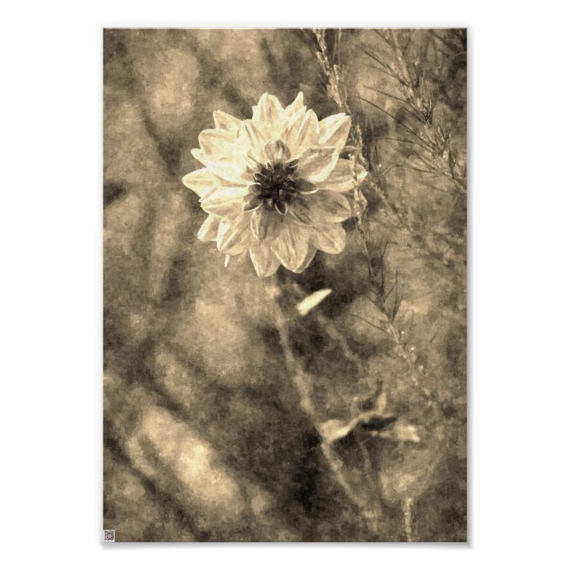 Vintage Dahlia Photo Print (Front)