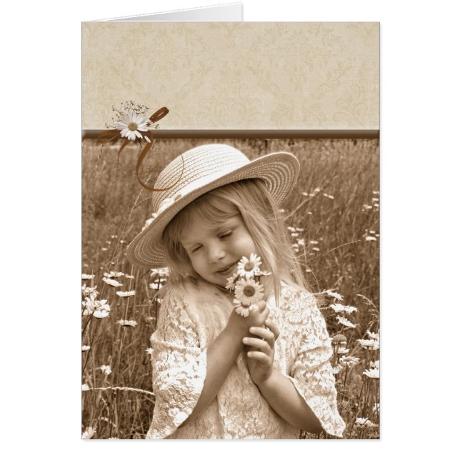 Vintage Daisies (Front)