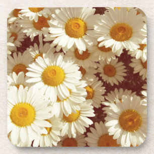 Vintage daisies coaster