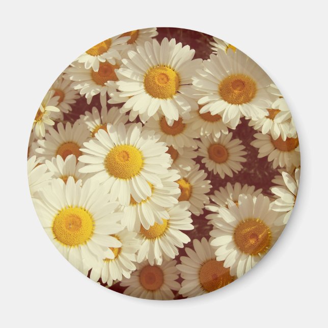 Vintage daisies magnet (Front)