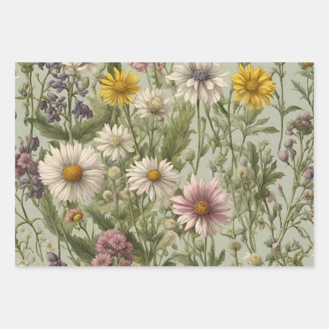 Vintage Daisy Flowers and Wildflowers Wrapping Paper Sheet (Front)